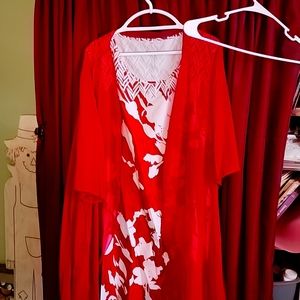 A red and white silk dress with a um a cover